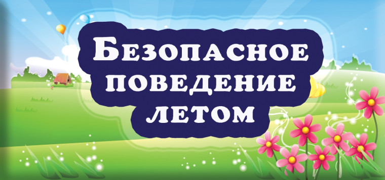 "Безопасное лето -2024".